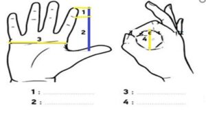 Hand grip size 1. is the measurement from trigger finger tip to 1st crease. 2. is 1st crease to thumb crease 3. is across top of the palm 4. is the internal diameter of thumb & trigger finger loop. This is measured with the hand open and extended. 